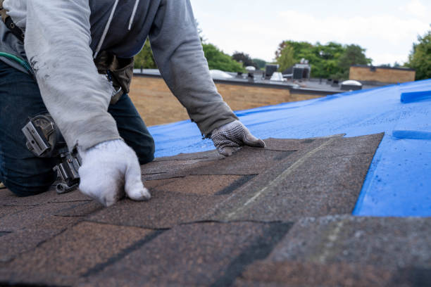 Best Roof Waterproofing Services  in Danville, IN